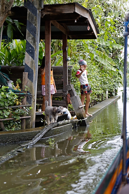 Talin chan-NOV13-085